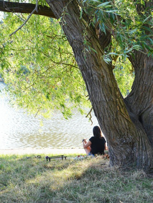 sarahmenesafraise- london