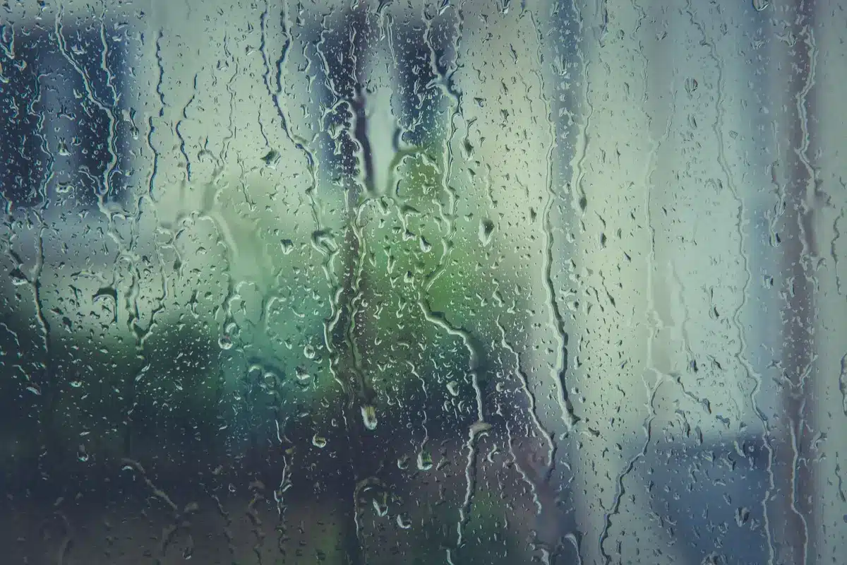 Détail des matériaux de parois de douche : verre trempé et finitions anti-calcaire