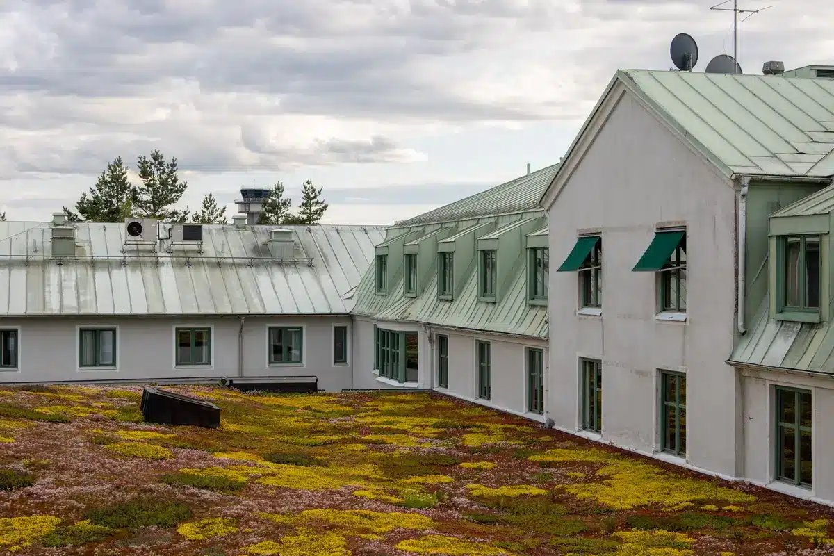 Toiture végétalisée avec plantes et herbes sur toit d'immeuble urbain