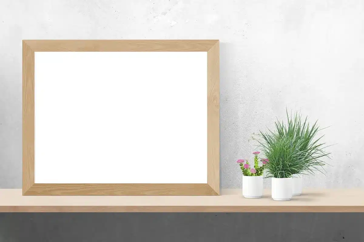 Étagère en bois décorée de plantes en pots et de livres