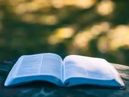 Groupe de lecteurs assis dans un jardin, livres à la main, journée ensoleillée
