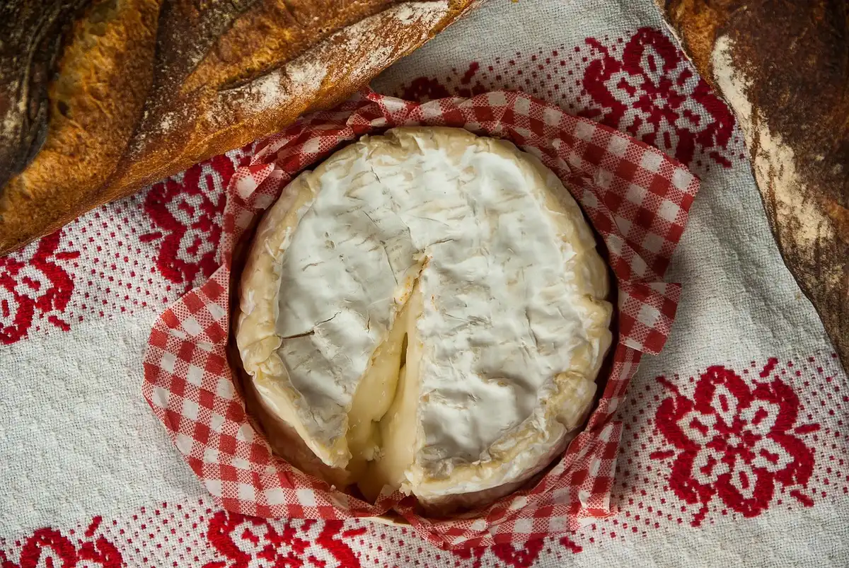 Casserole avec sauce Mornay onctueuse et fromage râpé à côté