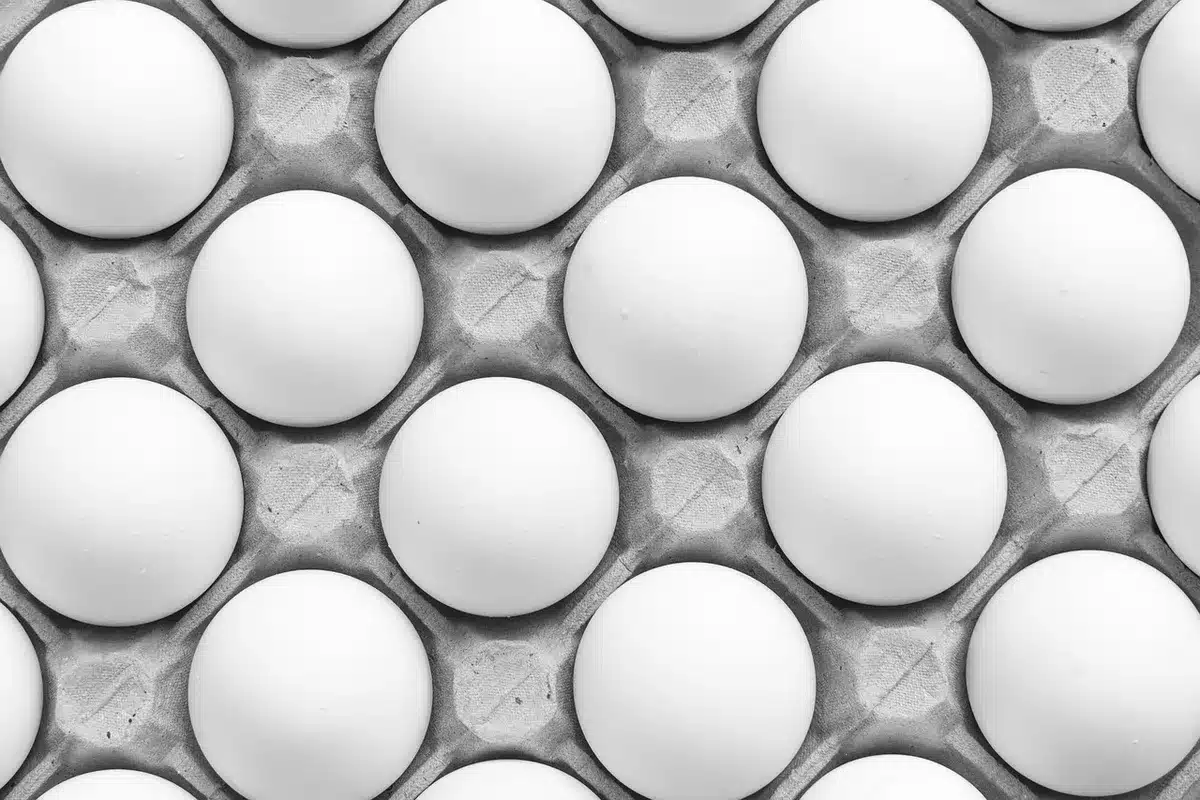 Préparation de la génoise au bain-marie avec un fouet et un bol