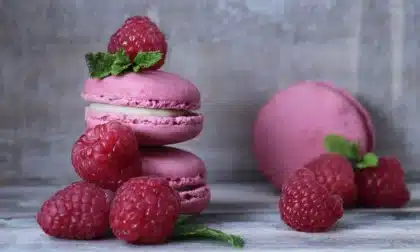 Assemblage d'un layer cake aux fruits sur un plan de travail en lumière du jour