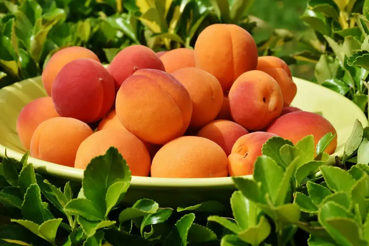 Bol de purée de potimarron posé près d'ingrédients pour crème